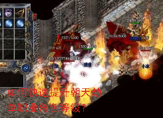 ��ο�����������ٵ�ְҵ��ɫ�ȼ���