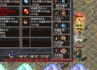 ��ο���׬ȡ���������Ϸʵ����