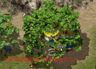 ��ο���׬ȡ���������Ϸʵ����