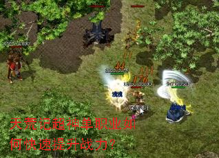 ��ļǳ���ְҵ��ο�������ս����