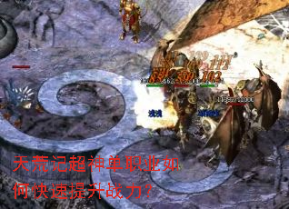 ��ļǳ���ְҵ��ο�������ս����