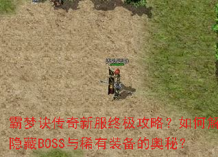 ���ξ������·��ռ����ԣ���ν⿪����BOSS��ϡ��װ���İ��أ�