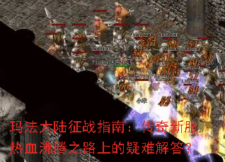 �귨��½��սָ�ϣ������·���Ѫ����֮·�ϵ����ѽ��
