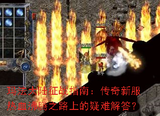 �귨��½��սָ�ϣ������·���Ѫ����֮·�ϵ����ѽ��