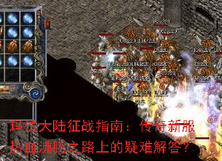 �귨��½��սָ�ϣ������·���Ѫ����֮·�ϵ����ѽ��