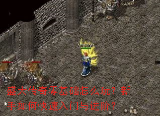 盛大传奇零基础怎么玩?新手如何快速入门与进阶? 盛大传奇零基础怎么玩?新手如何快速入门与进阶?