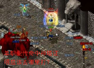 ��ְҵ����������֤��Ӧ��ȥ�����