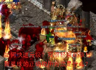 如何快速升级?双倍经验勋章与聚灵珠的正确使用方法是什么? 如何快速升级?双倍经验勋章与聚灵珠的正确使用方法是什么?
