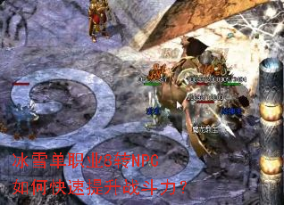 ��ѩ��ְҵ8תNPC��ο�������ս������