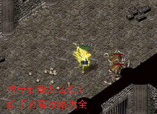 传奇新服怎么玩?新手必看攻略大全 传奇新服怎么玩?新手必看攻略大全