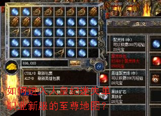 如何进入人皇纪迷失单职业新服的至尊地图? 如何进入人皇纪迷失单职业新服的至尊地图?