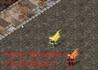 传奇战士属性如何加点才能发挥最强战力? 传奇战士属性如何加点才能发挥最强战力?