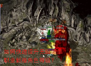 如何快速提升无回馈单职业新服角色等级? 如何快速提升无回馈单职业新服角色等级?