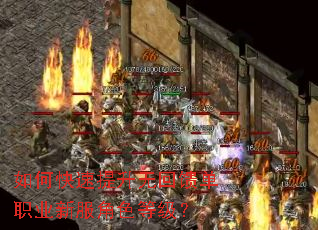如何快速提升无回馈单职业新服角色等级? 如何快速提升无回馈单职业新服角色等级?