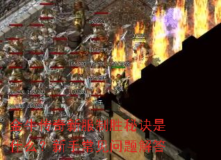 金牛传奇新服制胜秘诀是什么?新手常见问题解答 金牛传奇新服制胜秘诀是什么?新手常见问题解答