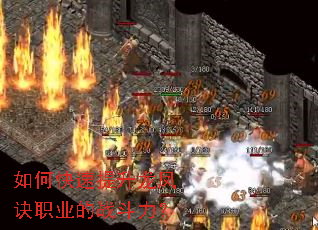 ��ο������������ְҵ��ս������