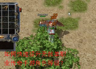 如何快速提升无赦单职业传奇手游角色等级? 如何快速提升无赦单职业传奇手游角色等级?