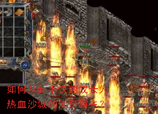 ��δ����ֿ��ٳɳ�Ϊ��Ѫɳ�ǵĴ��������