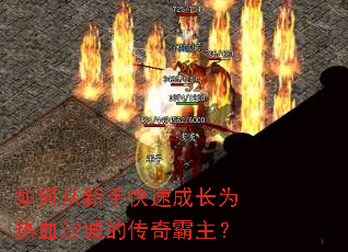 ��δ����ֿ��ٳɳ�Ϊ��Ѫɳ�ǵĴ��������