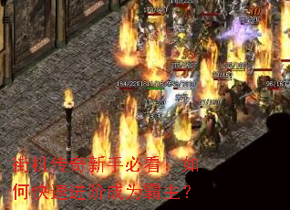 街机传奇新手必看:如何快速进阶成为霸主? 街机传奇新手必看:如何快速进阶成为霸主?
