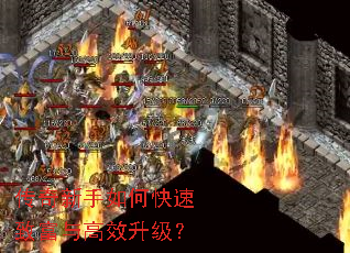 传奇新手如何快速致富与高效升级? 传奇新手如何快速致富与高效升级?