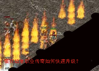 �����ٵ�ְҵ������ο���������