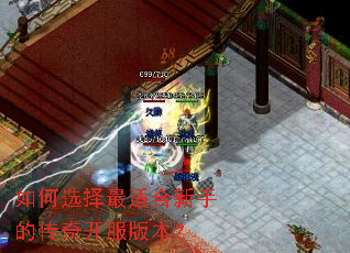 如何选择最适合新手的传奇开服版本? 如何选择最适合新手的传奇开服版本?