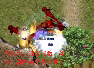 传奇大师独家秘籍:如何问鼎自由交易榜首? 传奇大师独家秘籍:如何问鼎自由交易榜首?