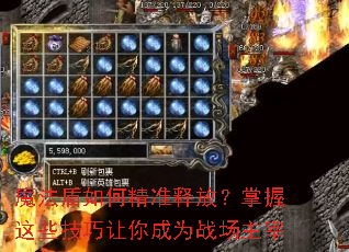 魔法盾如何精准释放?掌握这些技巧让你成为战场主宰 魔法盾如何精准释放?掌握这些技巧让你成为战场主宰