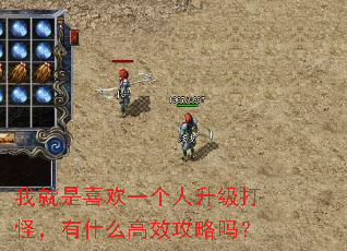 我就是喜欢一个人升级打怪,有什么高效攻略吗? 我就是喜欢一个人升级打怪,有什么高效攻略吗?