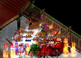 我就是喜欢一个人升级打怪,有什么高效攻略吗? 我就是喜欢一个人升级打怪,有什么高效攻略吗?
