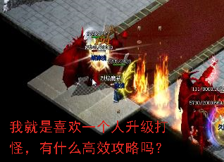 我就是喜欢一个人升级打怪,有什么高效攻略吗? 我就是喜欢一个人升级打怪,有什么高效攻略吗?