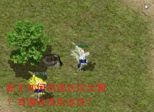 新手如何快速获取元霸?有哪些实用途径? 新手如何快速获取元霸?有哪些实用途径?