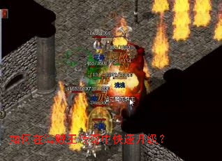 如何在海贼王传奇中快速升级? 如何在海贼王传奇中快速升级?