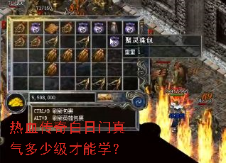 热血传奇白日门真气多少级才能学? 热血传奇白日门真气多少级才能学?