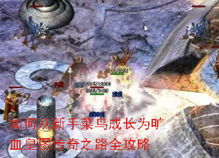 如何从新手菜鸟成长为旷血皇图传奇之路全攻略 如何从新手菜鸟成长为旷血皇图传奇之路全攻略