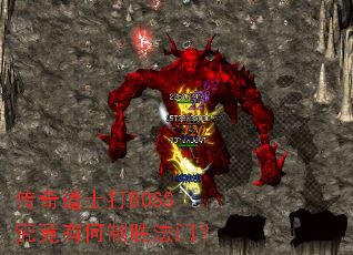 传奇道士打BOSS究竟有何制胜法门? 传奇道士打BOSS究竟有何制胜法门?