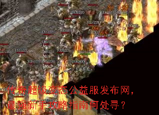 传奇超级变态公益服发布网,最强新手攻略指南何处寻? 传奇超级变态公益服发布网,最强新手攻略指南何处寻?