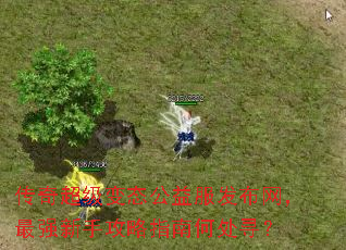 传奇超级变态公益服发布网,最强新手攻略指南何处寻? 传奇超级变态公益服发布网,最强新手攻略指南何处寻?