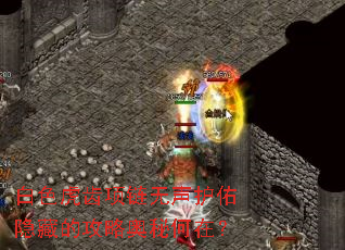 白色虎齿项链无声护佑隐藏的攻略奥秘何在? 白色虎齿项链无声护佑隐藏的攻略奥秘何在?