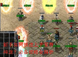 新手如何快速上手至尊神途?必备攻略全解析 新手如何快速上手至尊神途?必备攻略全解析