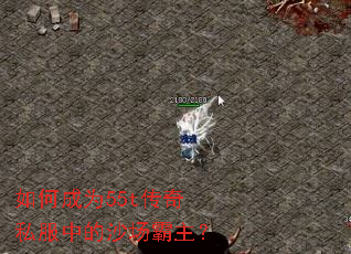 如何成为55t传奇私服中的沙场霸主? 如何成为55t传奇私服中的沙场霸主?