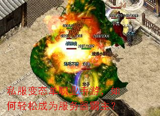 私服变态单职业手游,如何轻松成为服务器霸主? 私服变态单职业手游,如何轻松成为服务器霸主?