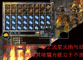 传奇战场抉择:静之流星火雨与动之流星火雨,如何掌握其精髓方能立于不败之地? 传奇战场抉择:静之流星火雨与动之流星火雨,如何掌握其精髓方能立于不败之地?