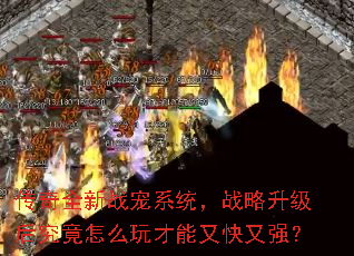 传奇全新战宠系统,战略升级后究竟怎么玩才能又快又强? 传奇全新战宠系统,战略升级后究竟怎么玩才能又快又强?