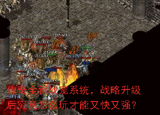传奇全新战宠系统,战略升级后究竟怎么玩才能又快又强? 传奇全新战宠系统,战略升级后究竟怎么玩才能又快又强?