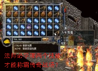 法师必学哪两个技能才能称霸传奇战场? 法师必学哪两个技能才能称霸传奇战场?