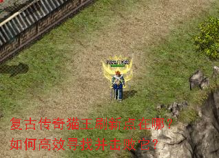 复古传奇猫王刷新点在哪?如何高效寻找并击败它? 复古传奇猫王刷新点在哪?如何高效寻找并击败它?