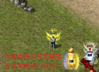 私服传奇沙巴克秘密通道如何前往皇宫? 私服传奇沙巴克秘密通道如何前往皇宫?