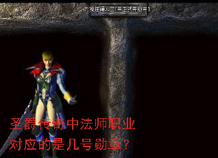 圣爵传奇中法师职业对应的是几号勋章? 圣爵传奇中法师职业对应的是几号勋章?